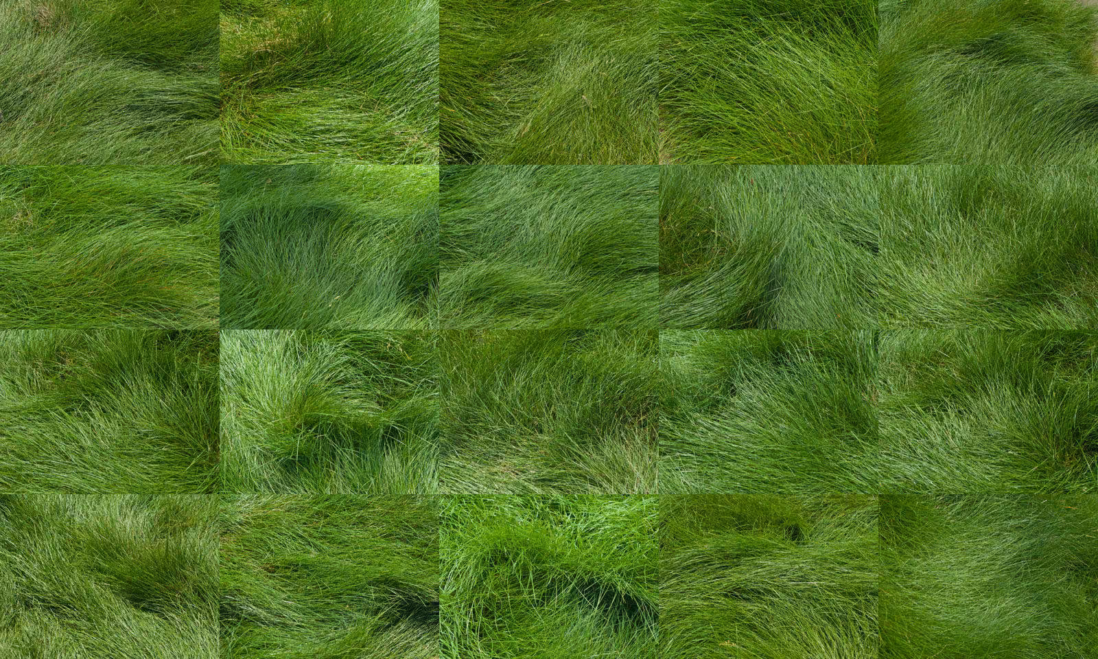 Grid of photographs of windblown green grass, tiled edge to edge