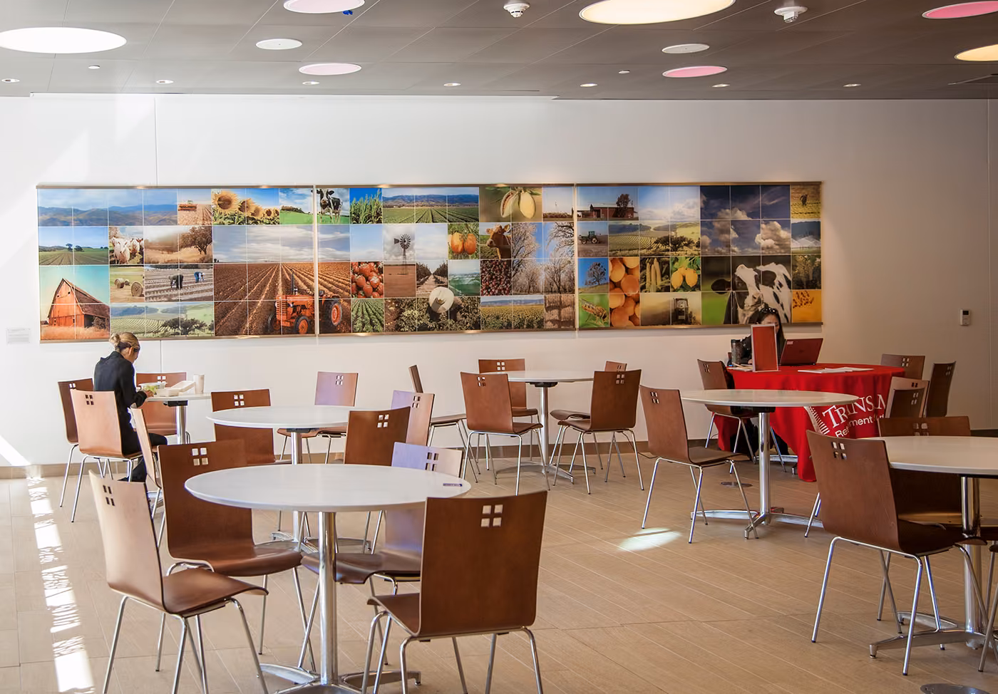 Hospital cafeteria with a long glass mural of farm and food photographs above tables and chairs